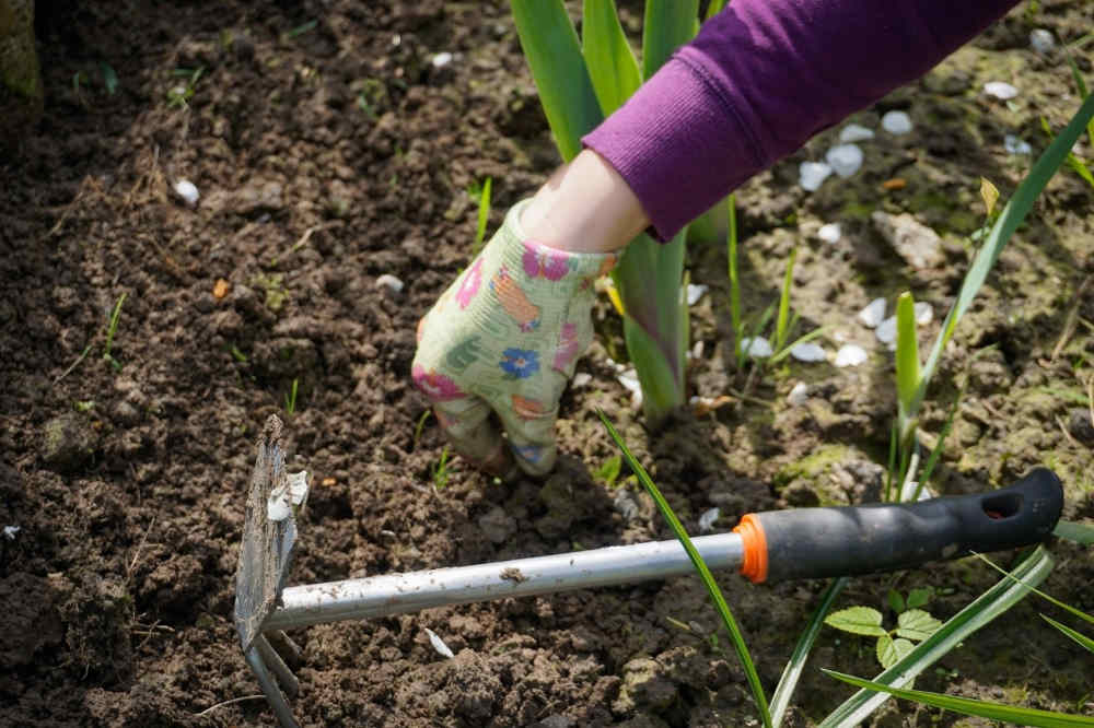 Unterbewusstsein als Garten